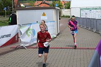 Bild: Auf der Zielgerade beim 11. Harztorlauf