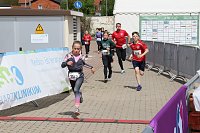Bild: Auf der Zielgerade beim 11. Harztorlauf