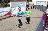 Bild: Auf der Zielgerade beim 11. Harztorlauf