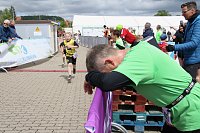 Bild: Auf der Zielgerade beim 11. Harztorlauf