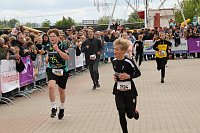 Bild: Auf der Zielgerade beim 11. Harztorlauf