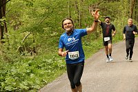 11. Harztorlauf - Am Start und auf der Strecke Bild: 11. Harztorlauf - Am Start und auf der Strecke