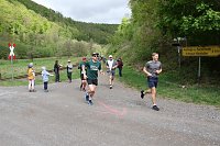 11. Harztorlauf - Am Start und auf der Strecke Bild: 11. Harztorlauf - Am Start und auf der Strecke