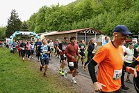 11. Harztorlauf - Am Start und auf der Strecke Bild: 11. Harztorlauf - Am Start und auf der Strecke