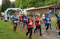 11. Harztorlauf - Am Start und auf der Strecke Bild: 11. Harztorlauf - Am Start und auf der Strecke