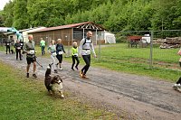 11. Harztorlauf - Am Start und auf der Strecke Bild: 11. Harztorlauf - Am Start und auf der Strecke