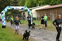 11. Harztorlauf - Am Start und auf der Strecke Bild: 11. Harztorlauf - Am Start und auf der Strecke