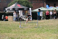 Bild: Scheinenhof-Fest mit Hobby Horsing