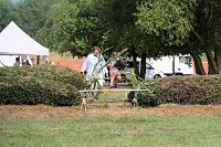 Bild: Scheinenhof-Fest mit Hobby Horsing