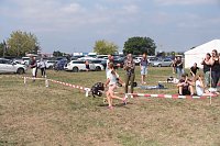 Bild: Scheinenhof-Fest mit Hobby Horsing