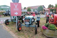 Bild: Scheinenhof-Fest mit Hobby Horsing