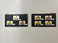 Bild: Bilderausstellung zum 125. Stra&szlig;enbahn-Jubil&auml;um in der Kreissparkasse Nordhausen 