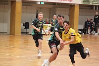 Bild: Die NSV Handballer und Handballerinnen hatten am Wochenende alle H&auml;nde voll zu tun