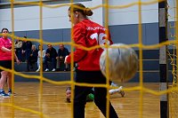 Bild: Die NSV Handballer und Handballerinnen hatten am Wochenende alle H&auml;nde voll zu tun
