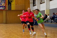 Bild: Die NSV Handballer und Handballerinnen hatten am Wochenende alle H&auml;nde voll zu tun