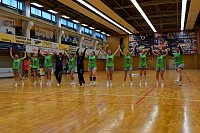 Bild: Die NSV Handballer und Handballerinnen hatten am Wochenende alle H&auml;nde voll zu tun