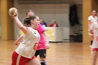 Bild: Die NSV Handballer und Handballerinnen hatten am Wochenende alle H&auml;nde voll zu tun