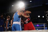 Bild: Boxgala in der Wiedigsburghalle