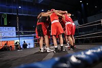 Bild: Boxgala in der Wiedigsburghalle