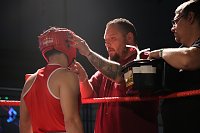 Bild: Boxgala in der Wiedigsburghalle