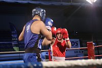 Bild: Boxgala in der Wiedigsburghalle