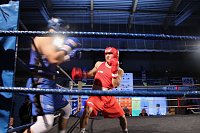 Bild: Boxgala in der Wiedigsburghalle
