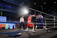 Bild: Boxgala in der Wiedigsburghalle