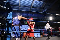 Bild: Boxgala in der Wiedigsburghalle