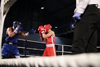 Bild: Boxgala in der Wiedigsburghalle