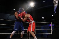 Bild: Boxgala in der Wiedigsburghalle