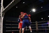 Bild: Boxgala in der Wiedigsburghalle