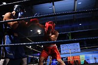 Bild: Boxgala in der Wiedigsburghalle