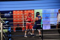 Bild: Boxgala in der Wiedigsburghalle