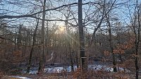 Bild: Winterwanderung am Kyffh&auml;user
