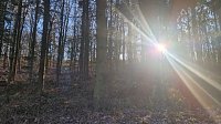 Bild: Winterwanderung am Kyffh&auml;user