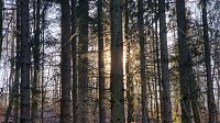 Bild: Winterwanderung am Kyffh&auml;user