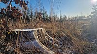 Bild: Winterwanderung am Kyffh&auml;user