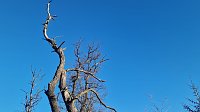 Bild: Winterwanderung am Kyffh&auml;user