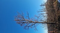 Bild: Winterwanderung am Kyffh&auml;user