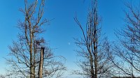 Bild: Winterwanderung am Kyffh&auml;user