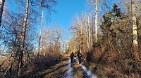 Bild: Winterwanderung am Kyffh&auml;user