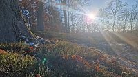 Bild: Winterwanderung am Kyffh&auml;user