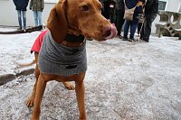 37. Nordhäuser Silvesterlauf Bild: 37. Nordhäuser Silvesterlauf