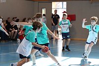 Handball-Ergebnisdienst Bild: Handball-Ergebnisdienst