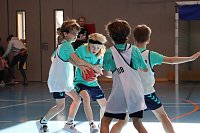 Handball-Ergebnisdienst Bild: Handball-Ergebnisdienst