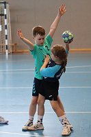 Handball-Ergebnisdienst Bild: Handball-Ergebnisdienst