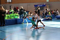 Handball-Ergebnisdienst Bild: Handball-Ergebnisdienst
