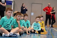 Handball-Ergebnisdienst Bild: Handball-Ergebnisdienst