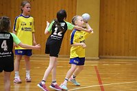 Handball-Ergebnisdienst Bild: Handball-Ergebnisdienst