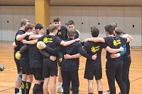 Handball-Ergebnisdienst Bild: Handball-Ergebnisdienst